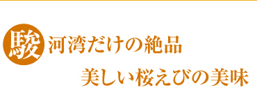 駿河湾だけの絶品美しい桜えびの美味